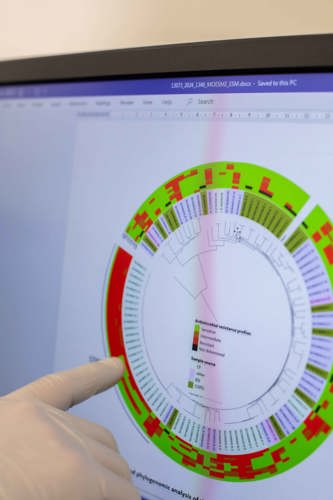 PCR equipment shows infection levels (in red)