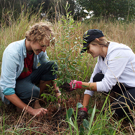 Dylan Sweeney and Christina Garner planting a tree
