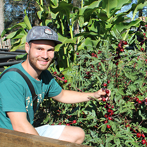 Sustainability student Jan Albers with a rosella plant in the USC Moving Feast garden