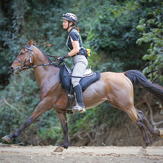USC Gympie Nursing Science student Lisa Loranger and her horse Drizzle 