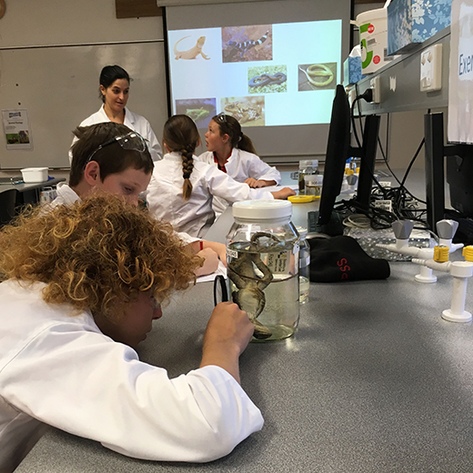 School students conduct animal ecology investigations in USC Fraser Coast’s science labs as part of Explore Expo.  