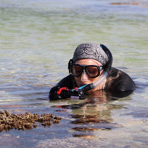USC Senior Lecturer in Animal Ecology Dr Kathy Townsend conducts reef surveys on Lady Elliot Island. 