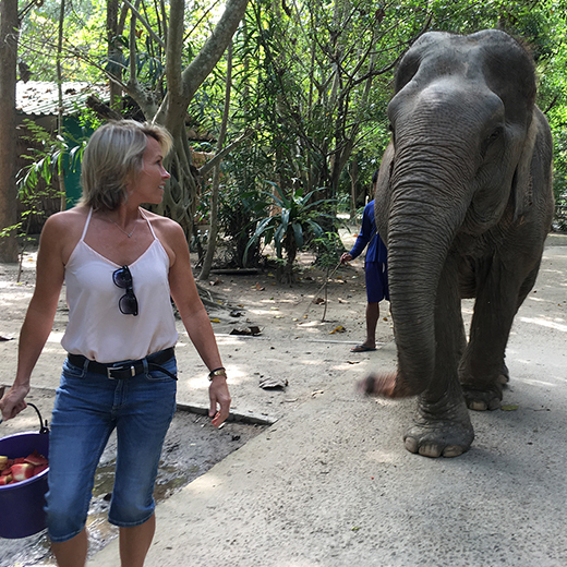 Dr Jane Stephens walking with rescued elephant in Thailand