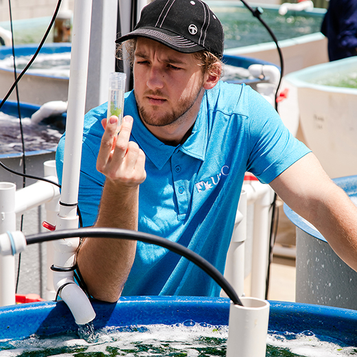 Graduate Steele Ford working with seaweed at Bribie Island