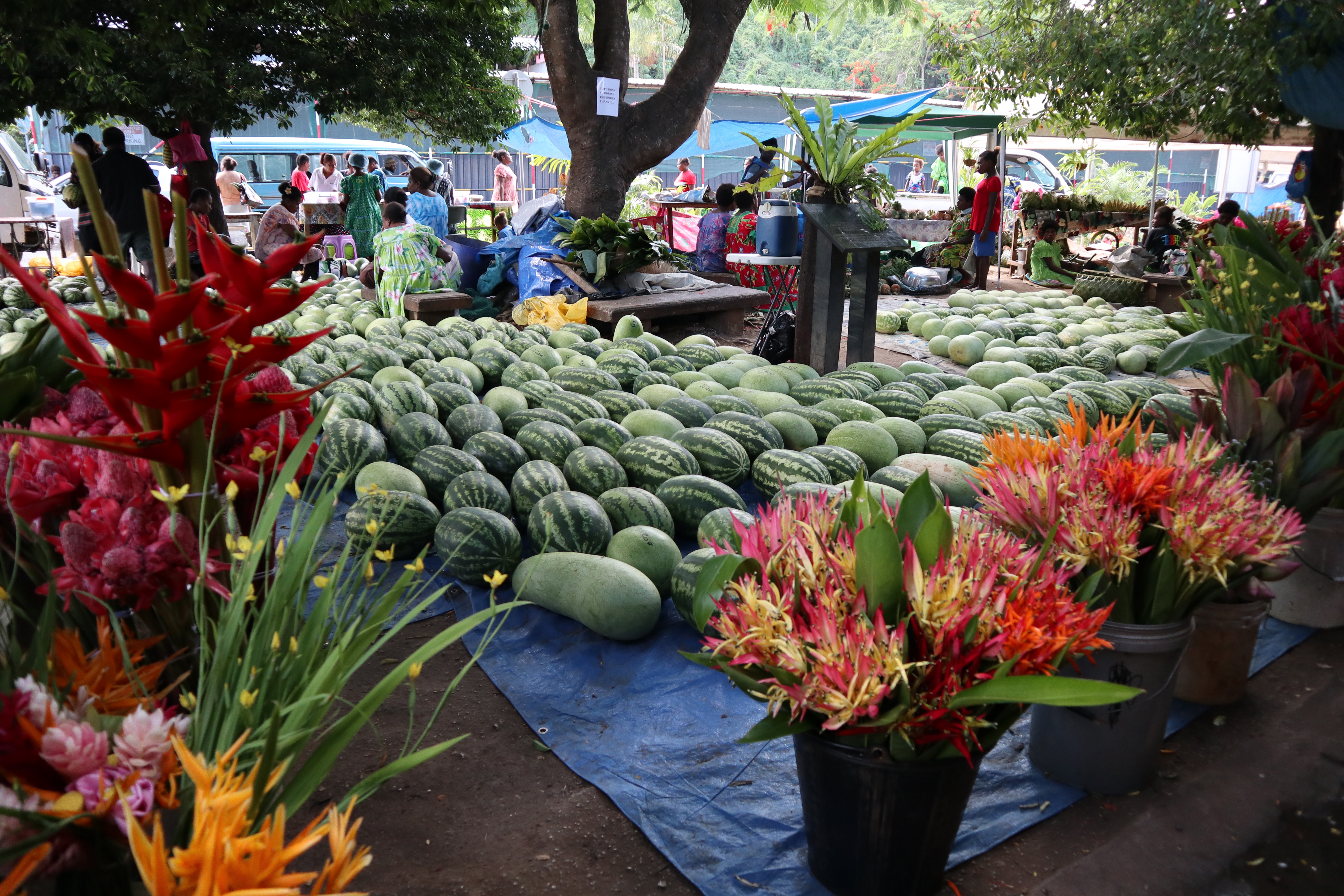 Flower And Fruit Market 