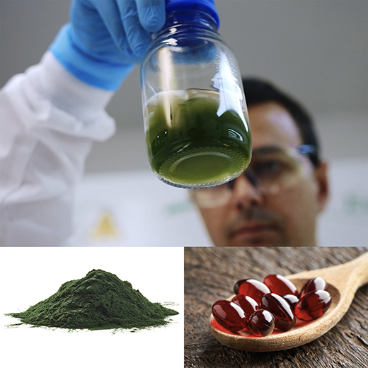 Images of marine bioproducts produced from algae, including dry algae powder and astaxanthin capsules.