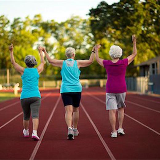 Track walking - supplied