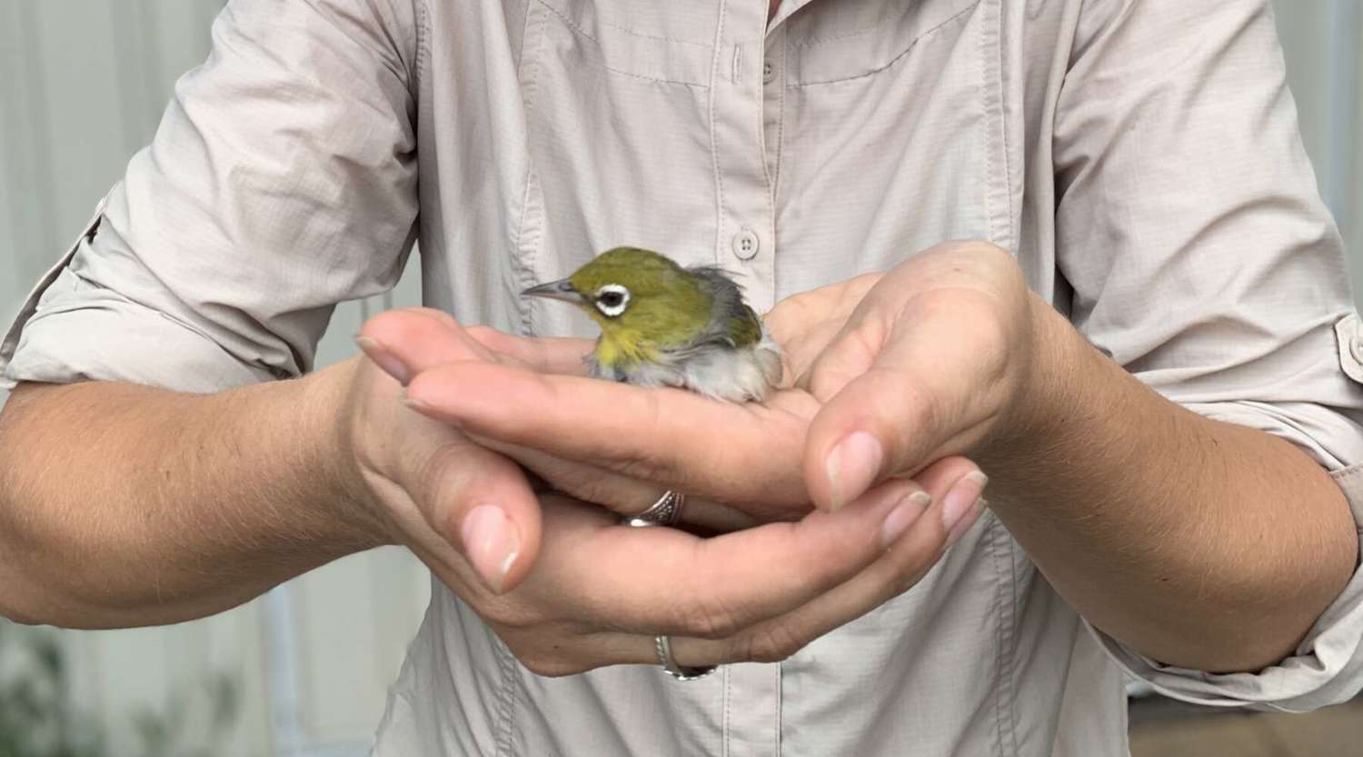 dr dominique potvin holds a silverye