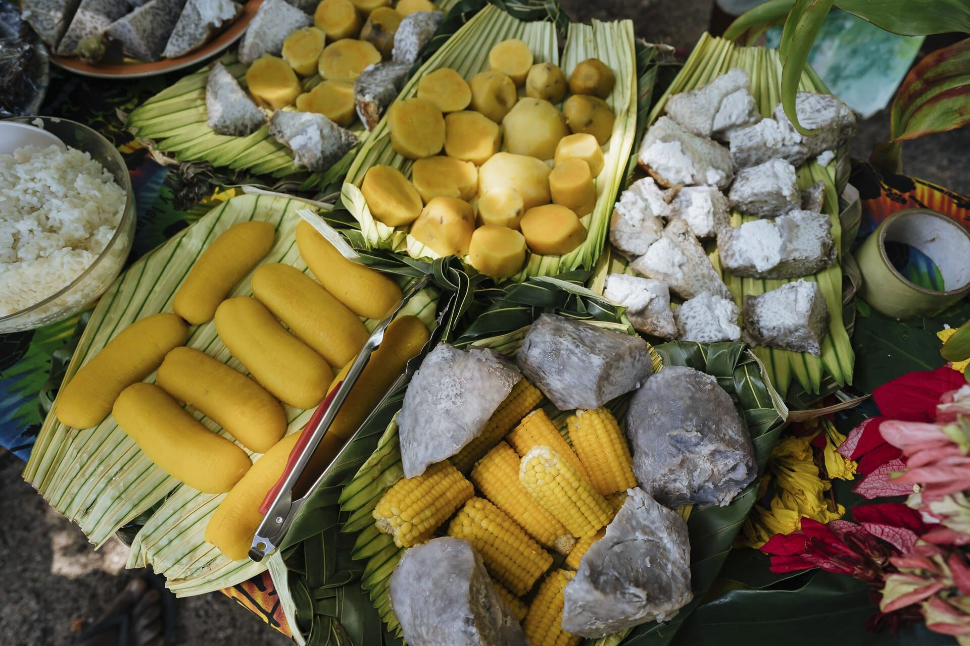 Agricultural food products from Vanuatu