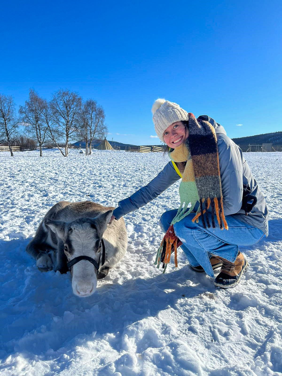 Student patting reindeer in snow