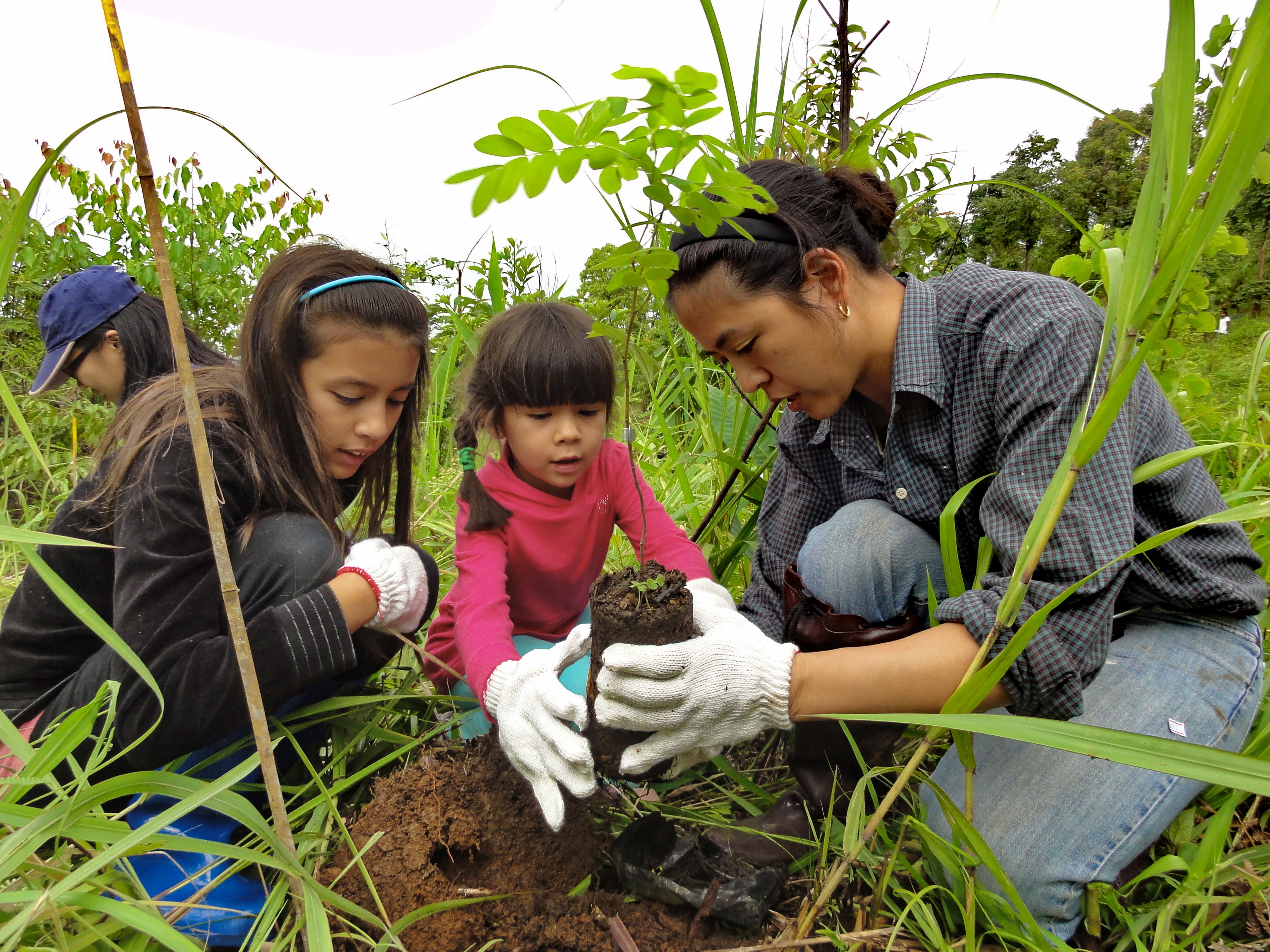 A family plants trees for forest restoration in Thailand. Photo supplied via Professor Andy Marshall