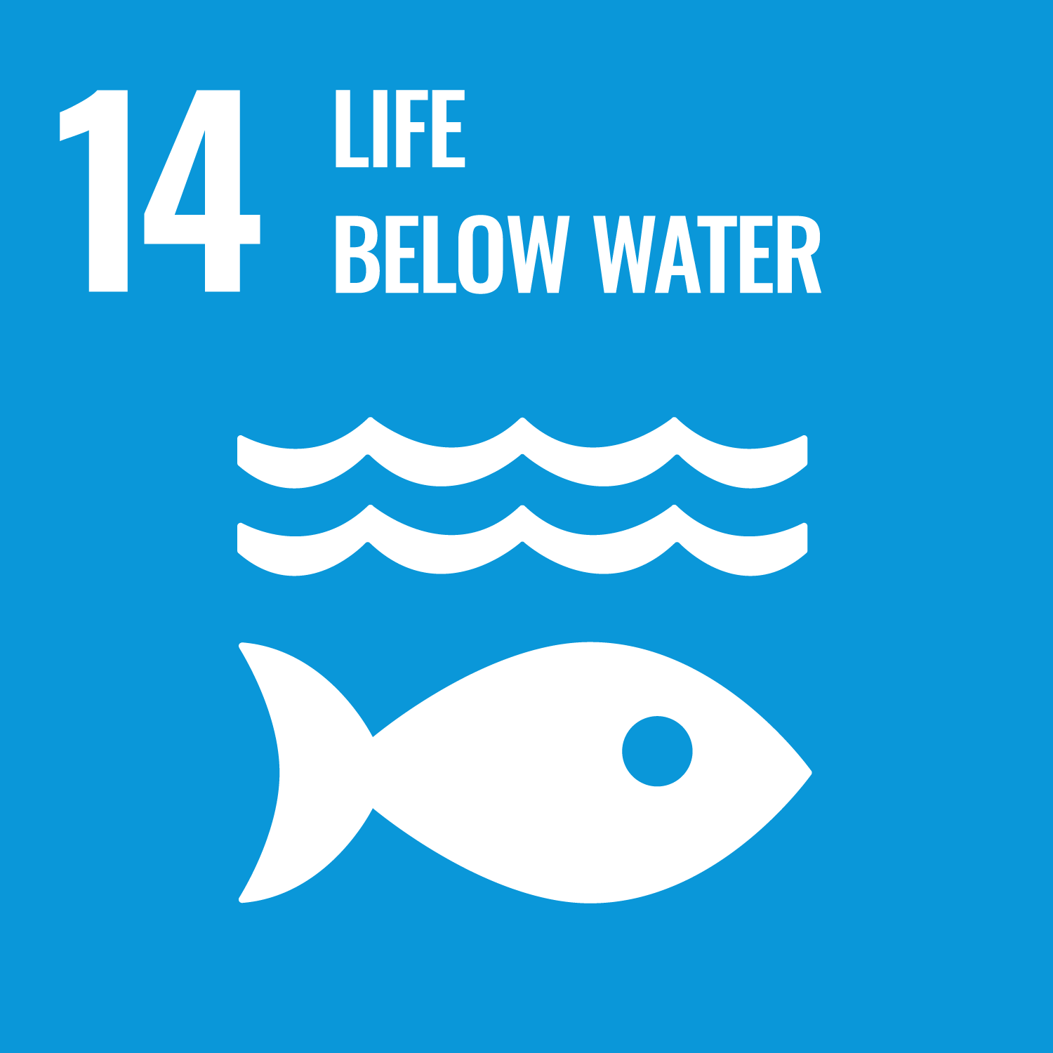 United Nations Sustainable Development Goal 14: Life below water