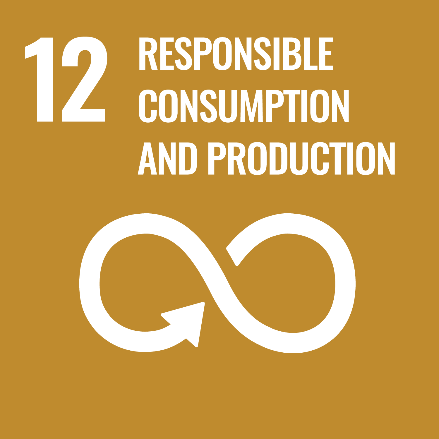 United Nations Sustainable Development Goal 12: Responsible consumption and production