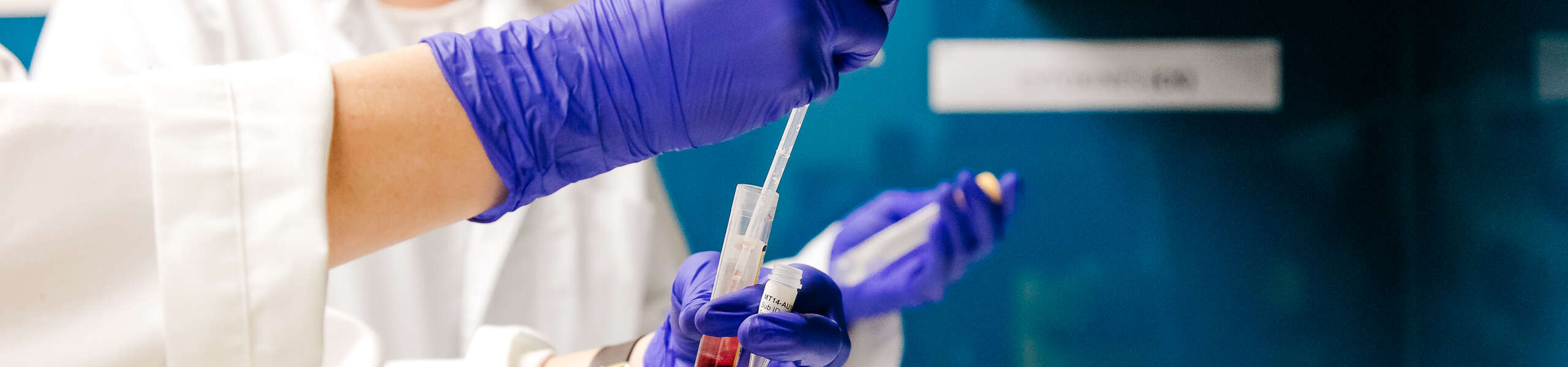 scientist inspecting samples in lab