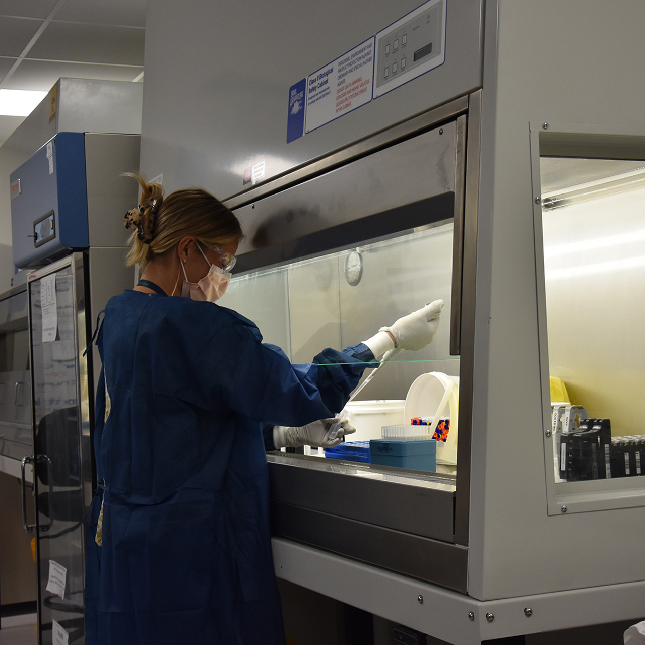 Medical Laboratory Science graduates work at Pathology Queensland at SCUH