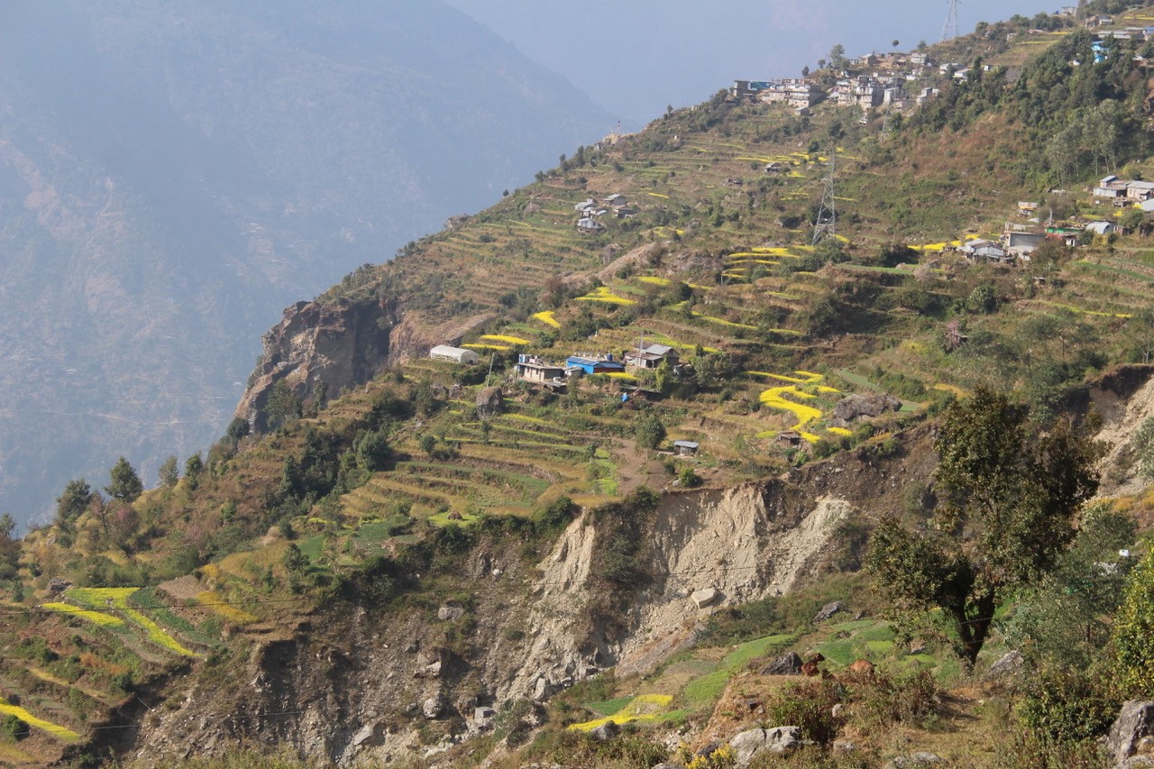 Hill in Nepal with houses and crops